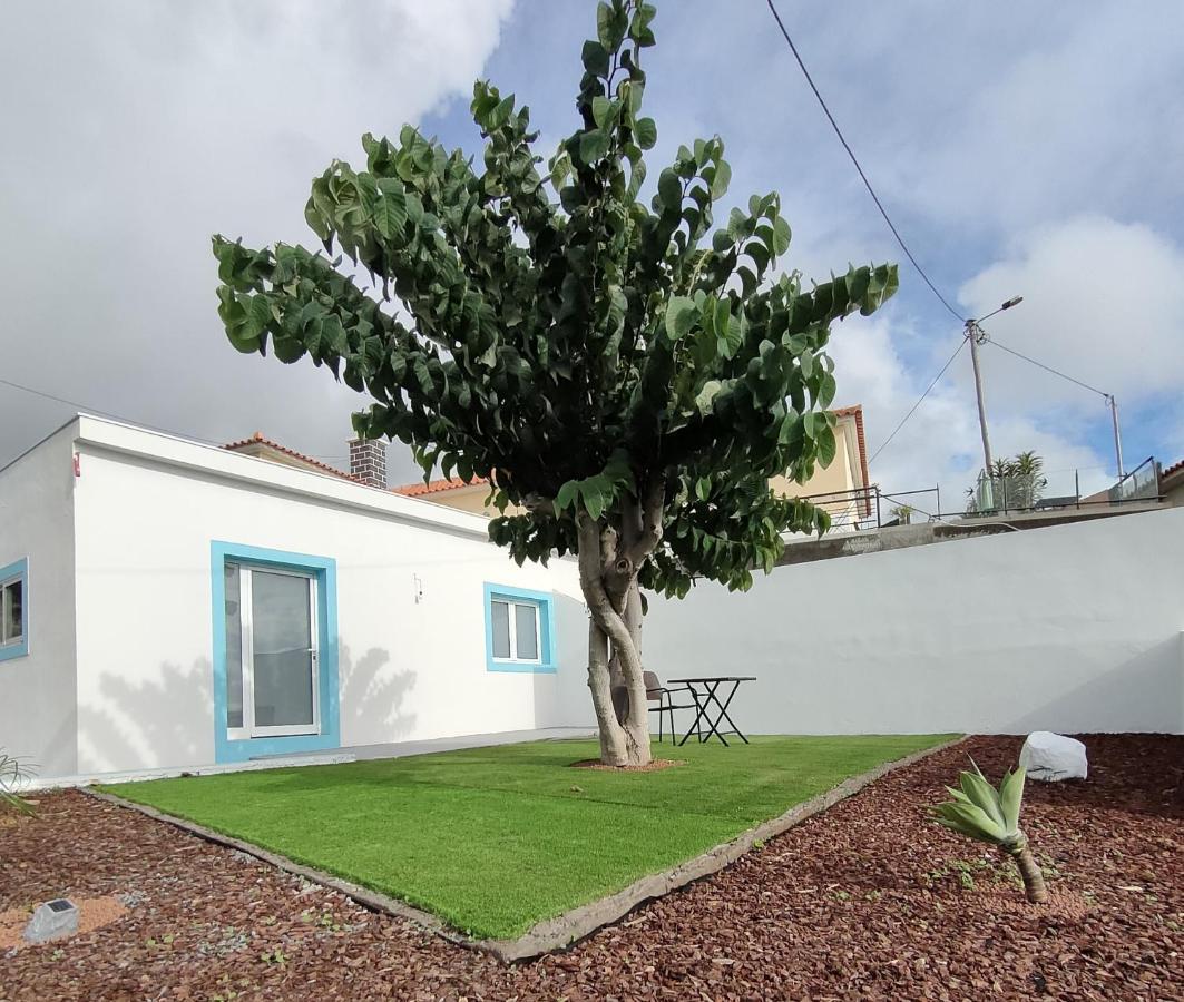 Madeira Blue House Villa Calheta  Exteriör bild